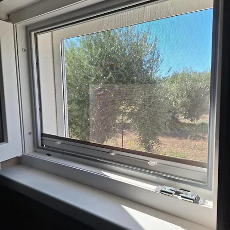 Semesterbostad Pinta Vodice